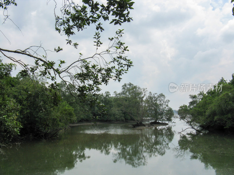 新加坡双溪布洛湿地保护区自然风光