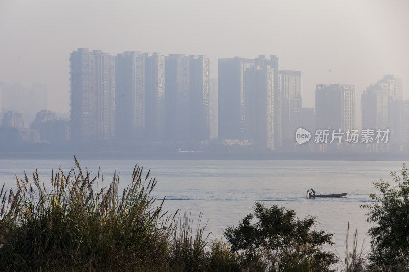 鱼塘江风景船人树