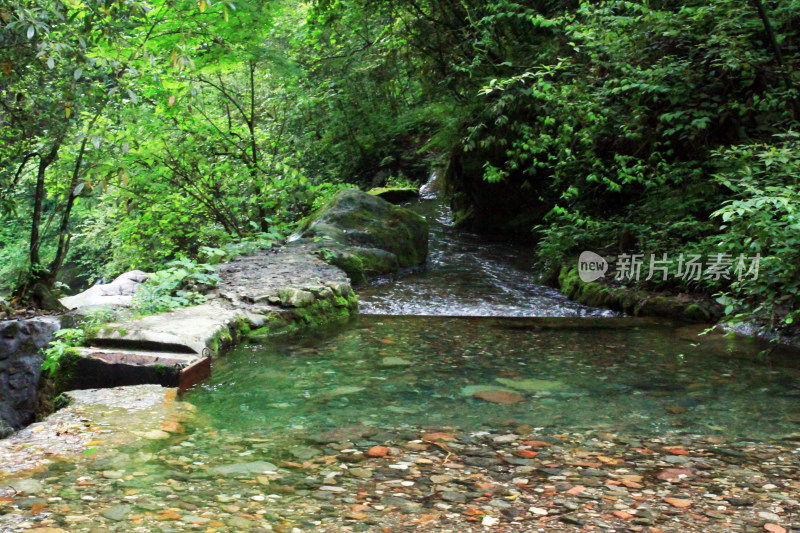 西岭雪山大飞水