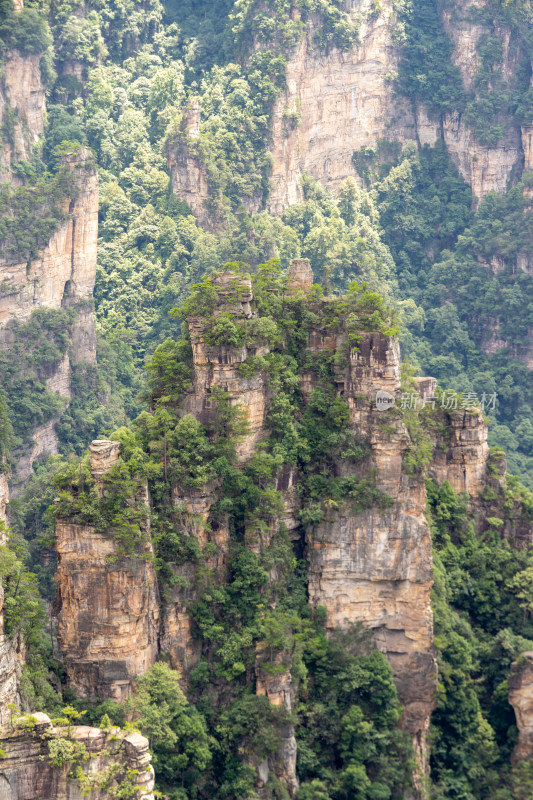 中国湖南张家界景区奇特山峰与茂密森林