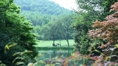 杭州西湖太子湾公园风景