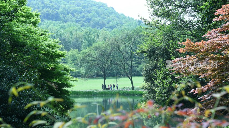 杭州西湖太子湾公园风景