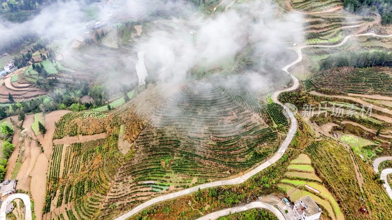 重庆酉阳：青山雾漫别样美