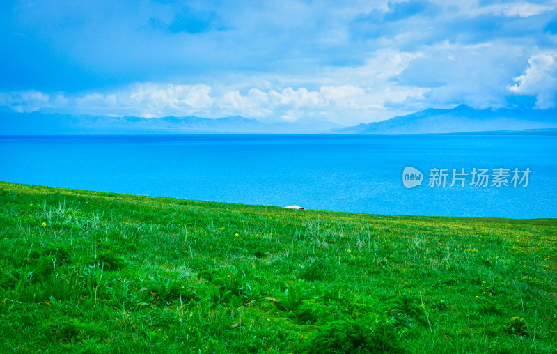 新疆博州赛里木湖旅游景区草原湖泊自然风光