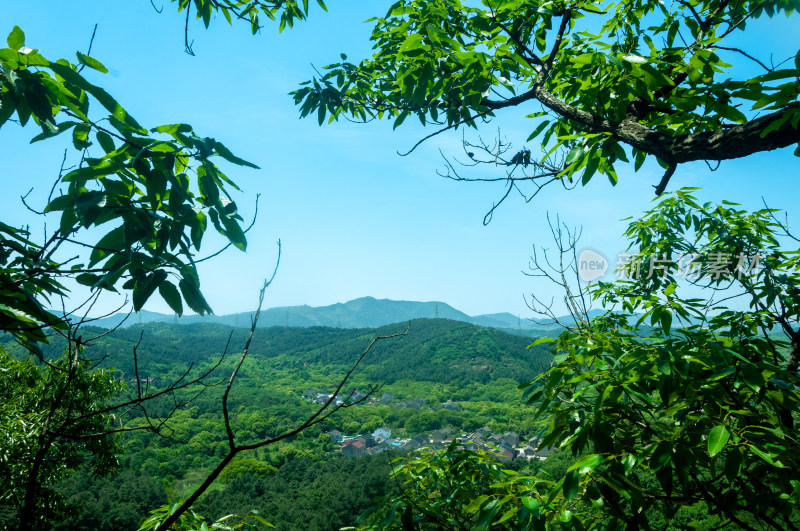 山中的自然风景