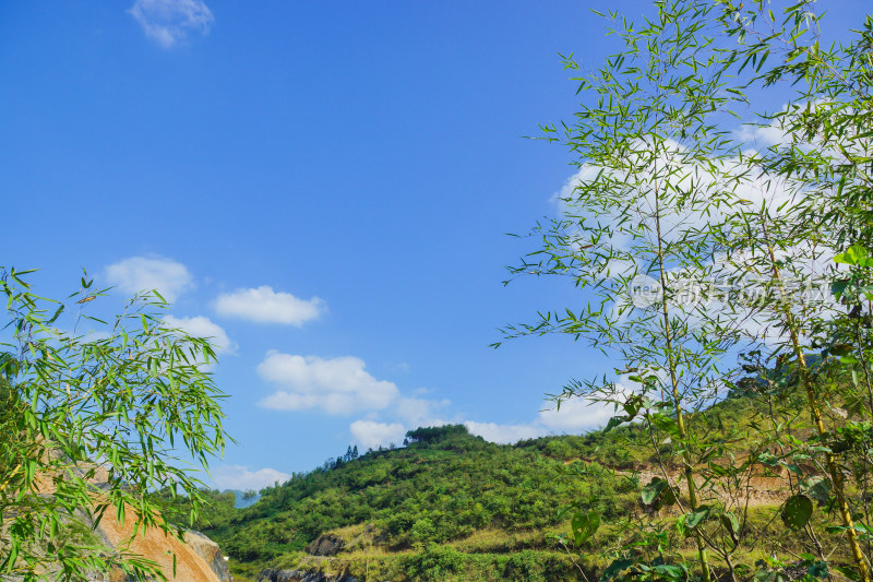 竹子青山蓝天