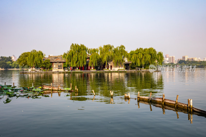 山东济南大明湖风景区自然景观与城市风光