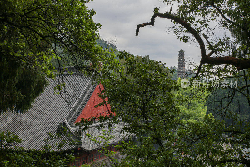 天台之旅