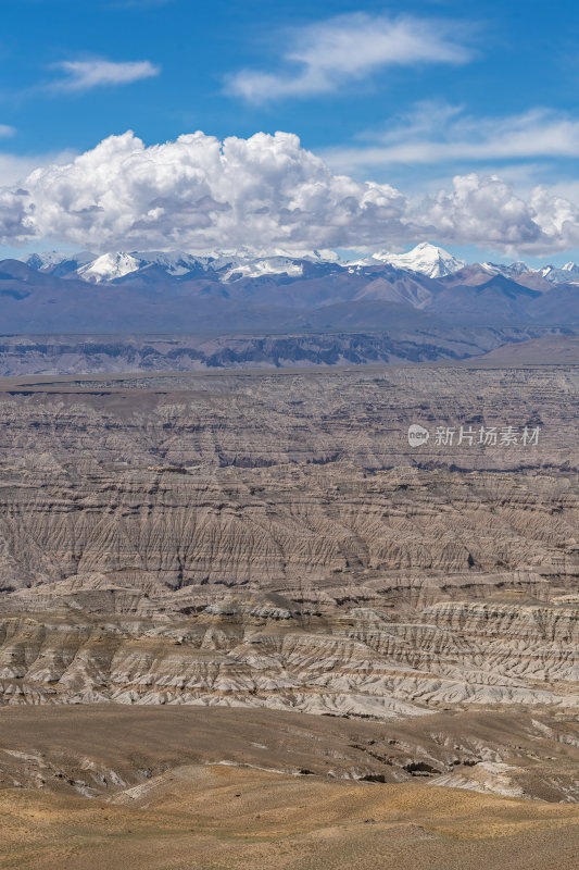 西藏阿里札达土林高原荒凉戈壁与雪山远景