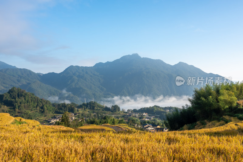 浙江丽水云和梯田景区风光