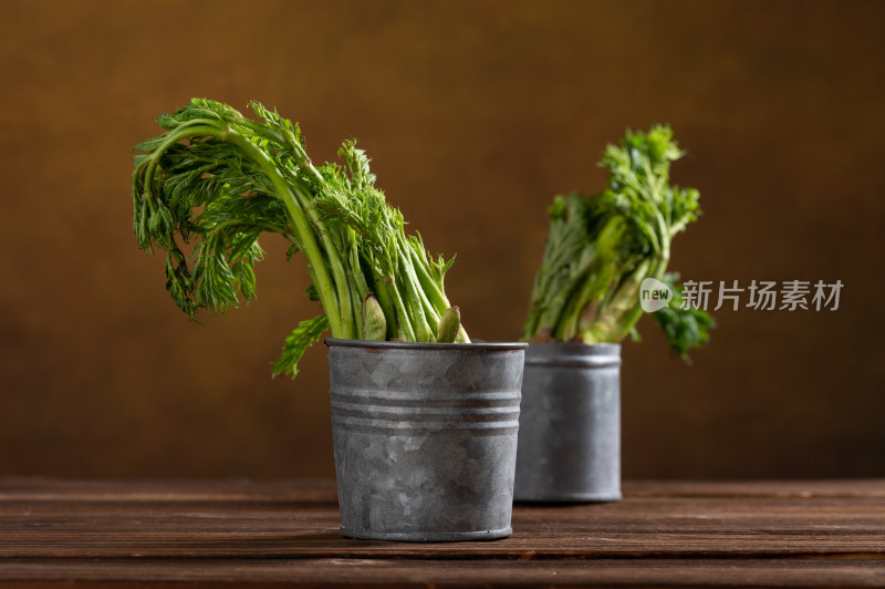 东北野菜新鲜刺嫩芽