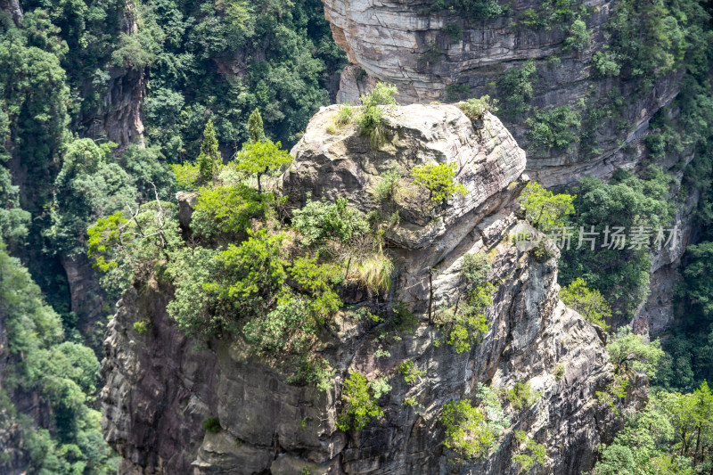 中国湖南张家界景区奇特山峰与茂密森林