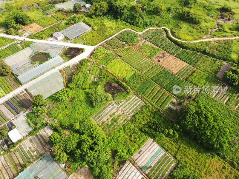 乡村农田航拍俯瞰图