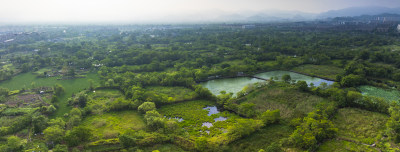 杭州余杭五常湿地夏天风光