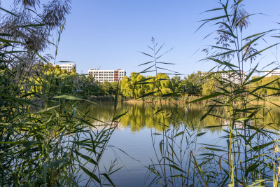 湖畔现代校园建筑群大学与湖泊