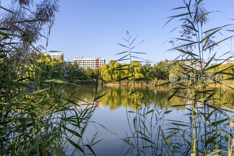 湖畔现代校园建筑群大学与湖泊