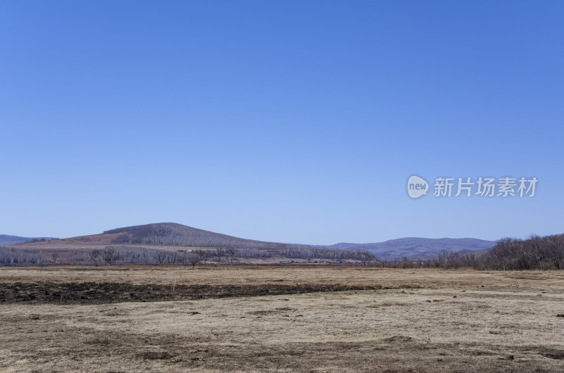 内蒙古呼伦贝尔临江屯草原牧场秋景