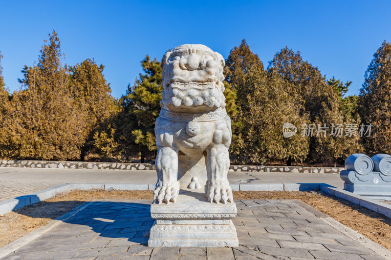 河北唐山市遵化清东陵石像生狮子