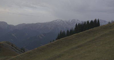 果子沟雪山森林草地