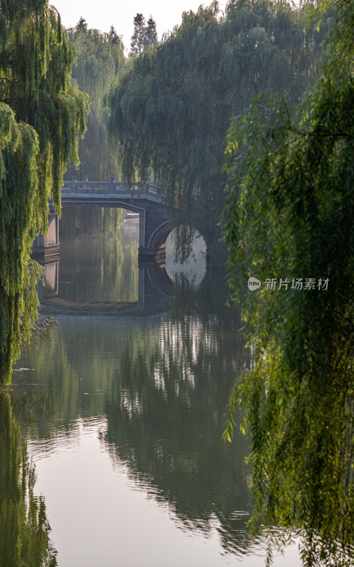 山东济南大明湖风景区自然景观与城市风光