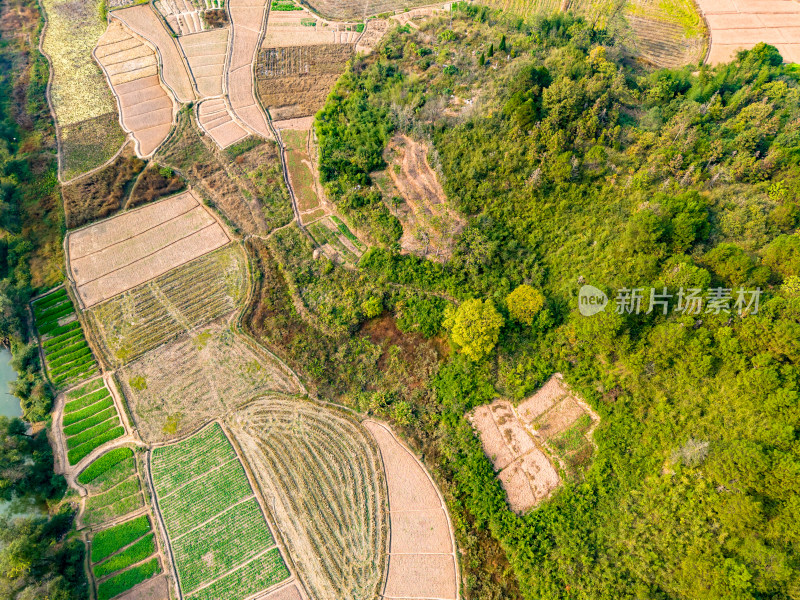 山区农业种植农田航拍图