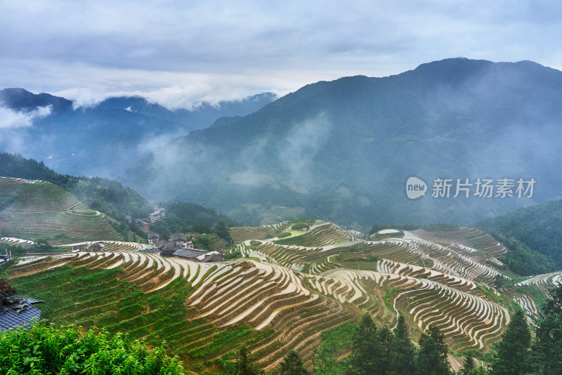 桂林龙脊梯田