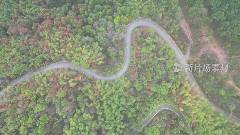 大自然绿色植物森林蜿蜒盘山公路云雾缭绕