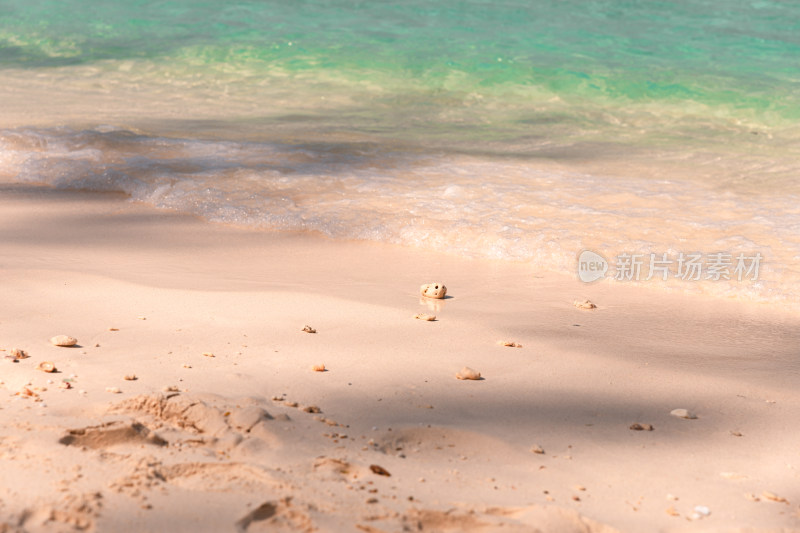 海边自然风景