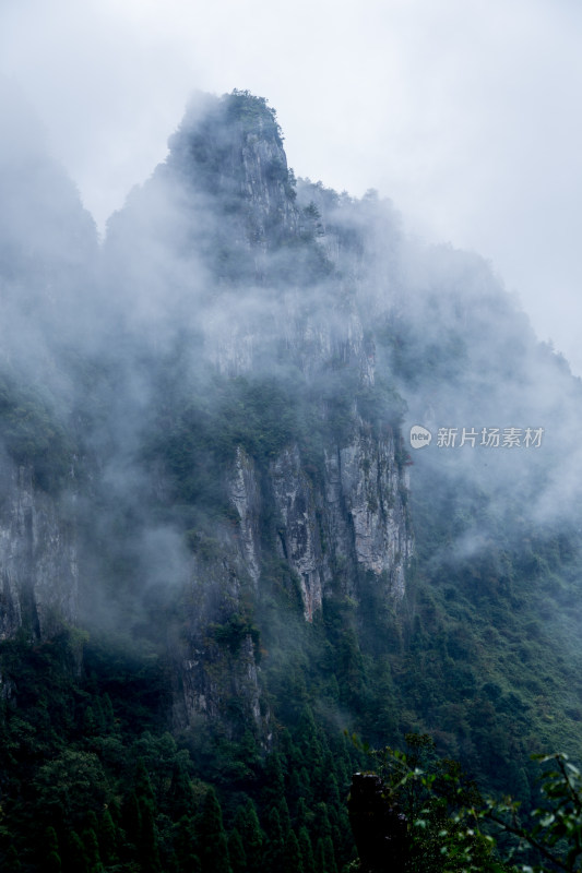 云雾缭绕的高山森林