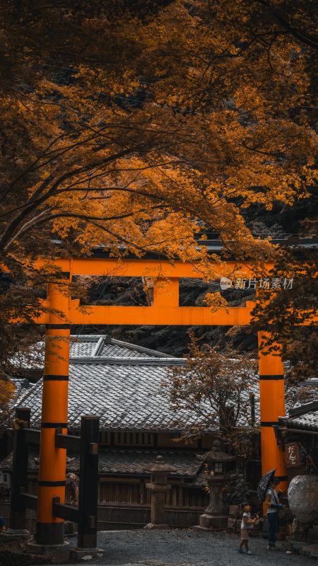 日本京都鸟居