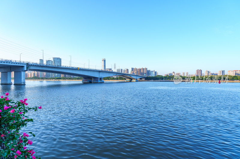 广州珠江华南大桥与城市高楼建筑景观