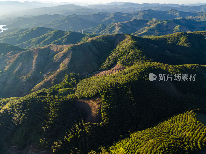 航拍视角下的大片绿色山林山脉全景