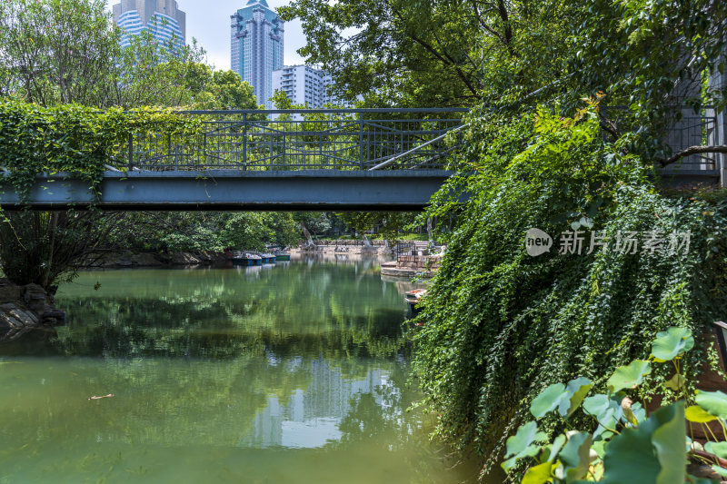 武汉江汉区中山公园风景