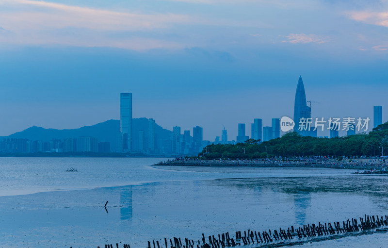 深圳湾公园海景风光与滨海城市建筑