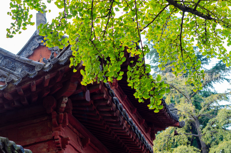 河南省洛阳市白马寺秋天屋檐