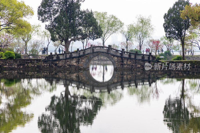 烟雨江南无锡蠡园春色