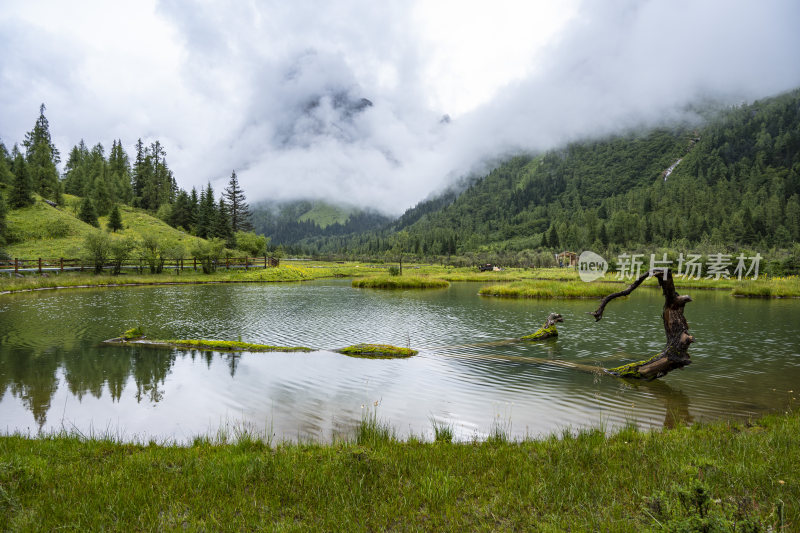 四川四姑娘山双桥沟自然风景