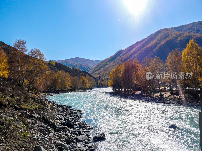 喀纳斯河风景