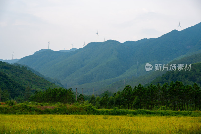 高山田野景观