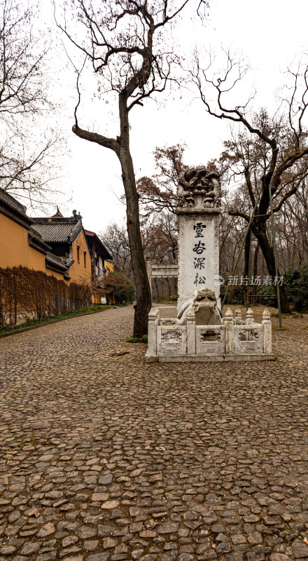 南京灵谷寺灵谷深松景点景观