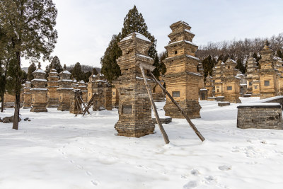 雪后少林寺古塔林景观