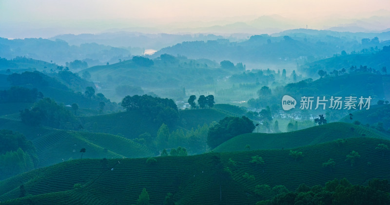 茶园茶山美丽乡村