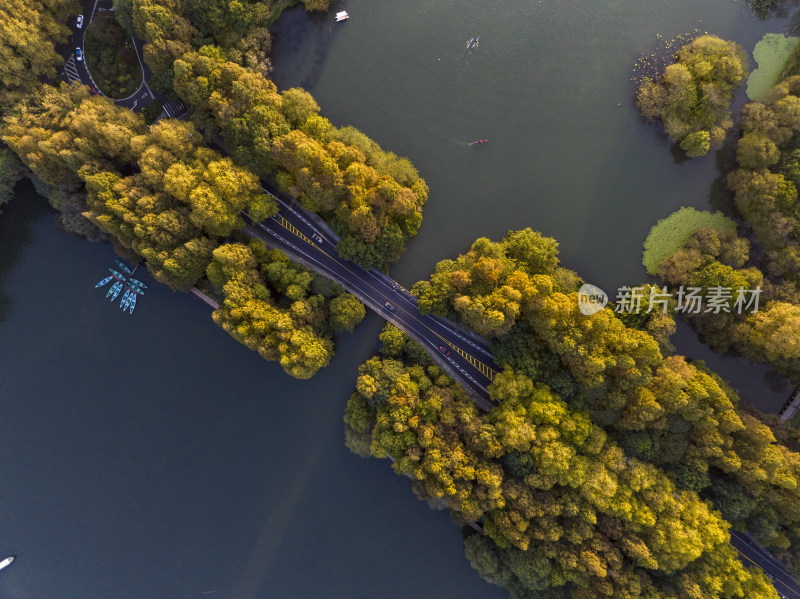 中国杭州西湖杨公堤秋日美景
