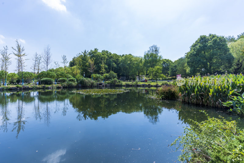 武汉蔡甸汤湖公园生态园林风景