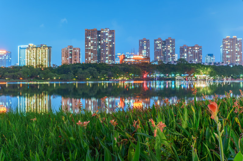 南宁南湖公园鲜花与城市摩天大楼夜景灯光