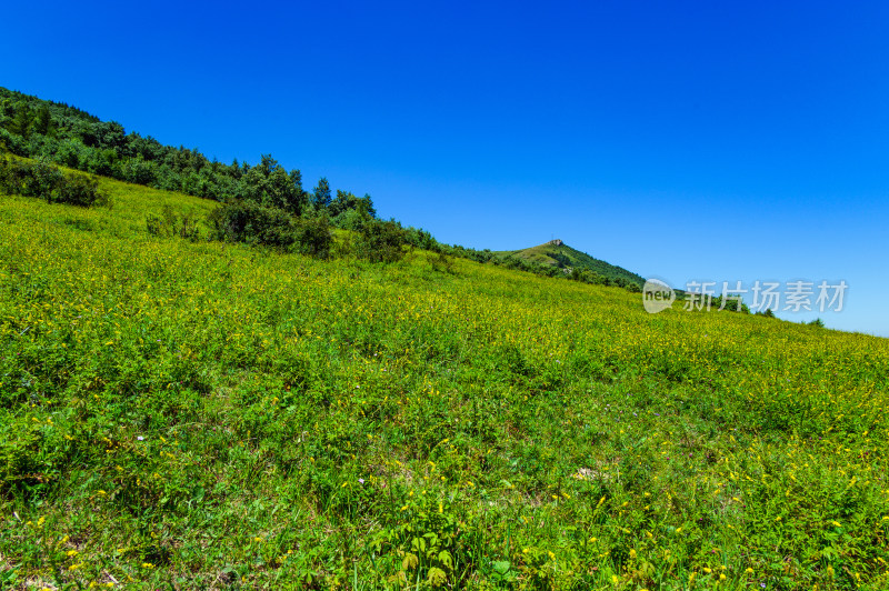 夏季蓝天白云绿色高山草甸群山大气风光