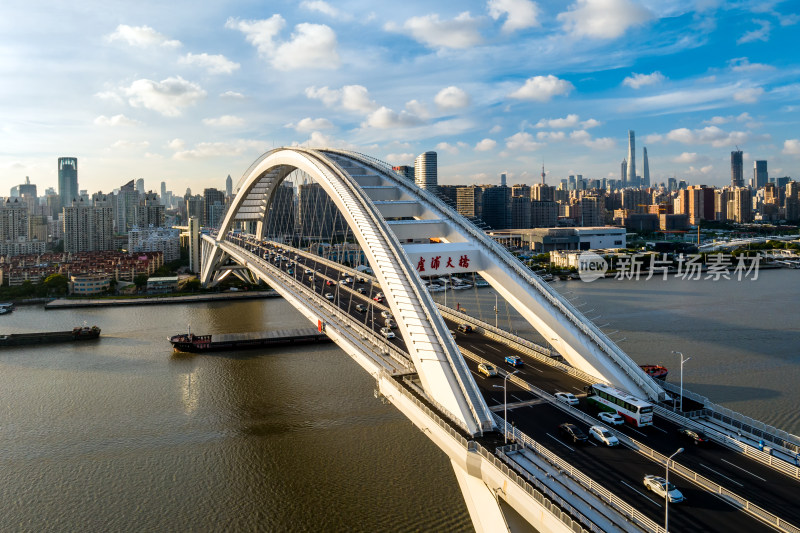 卢浦大桥 上海跨江大桥