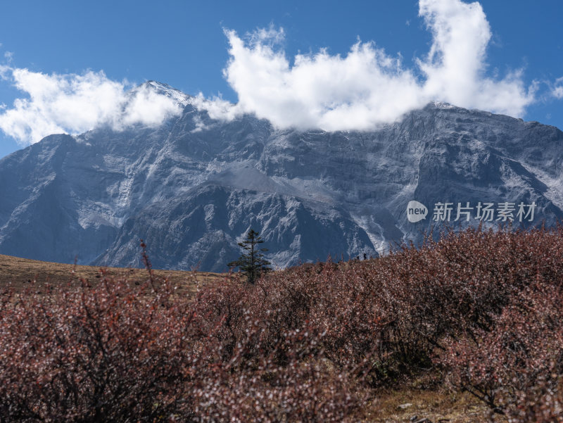 站在玉龙雪山牦牛坪，观赏山川风景