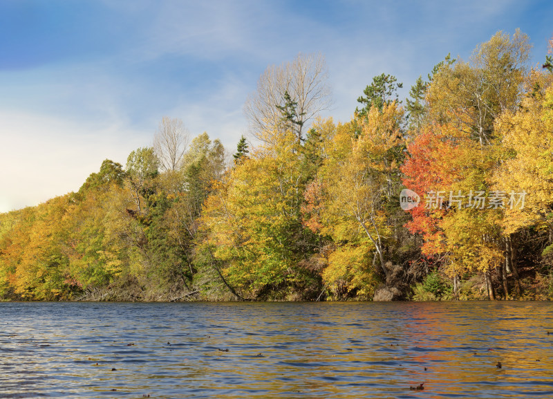 加拿大秋天的湖边风景