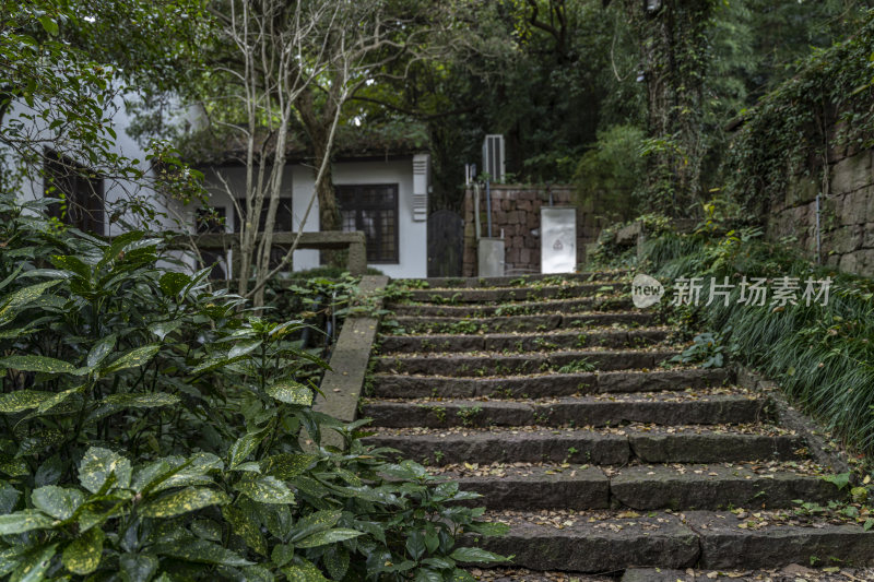 杭州宝石山景区宝云寺遗址